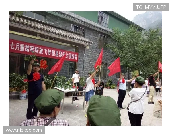 问鼎真人手机版中的最佳策略，开启你的胜利之旅就是现在